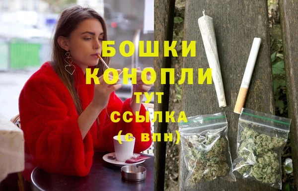 2c-b Шали