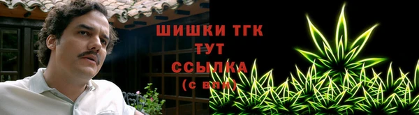 соль ск Шадринск