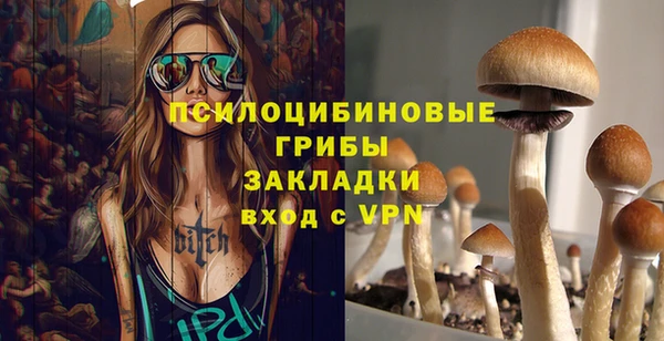 сатива Шарыпово