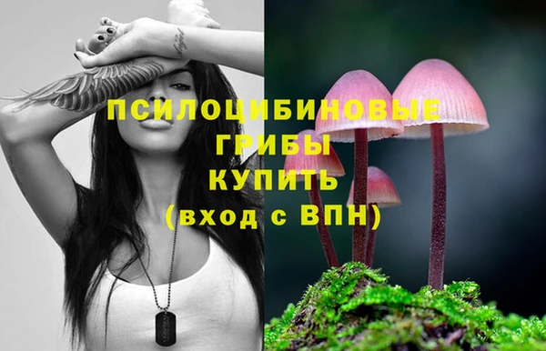 сатива Шарыпово