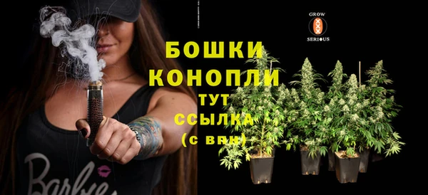 соль ск Шадринск