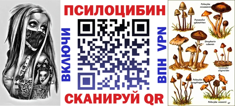 kraken как войти  Яровое  Псилоцибиновые грибы GOLDEN TEACHER 
